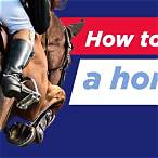 what is a lay bet in horse racing
